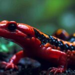 Do Salamanders Have Teeth